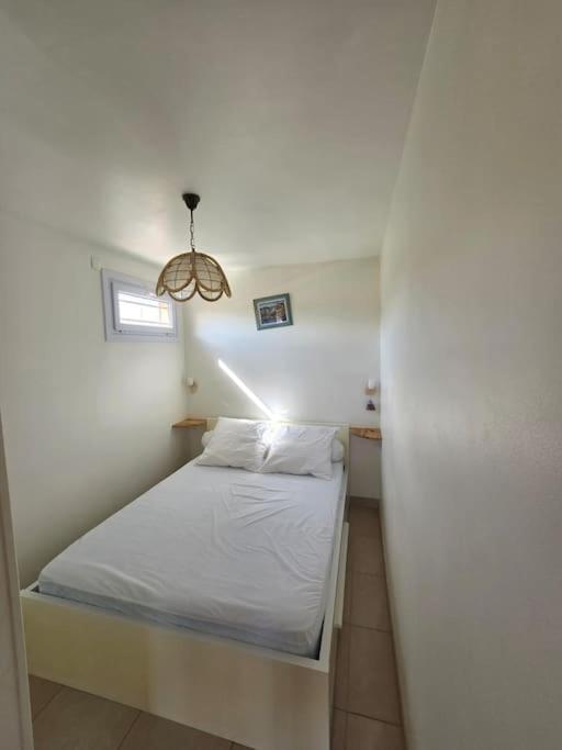 Apartment Cap D'agde Proche Port Et